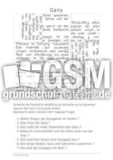 Gans.pdf